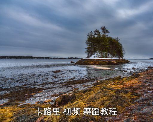 可以减肥舞蹈教学视频,减肥舞蹈教学视频 女生 简单