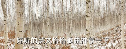 请你恰恰舞蹈音乐