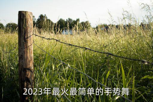 来自测量的狼舞蹈