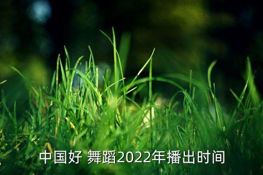 中国好舞蹈海清开场舞