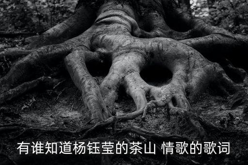 茶花情歌舞蹈视频,玛尼情歌舞蹈教学视频背面