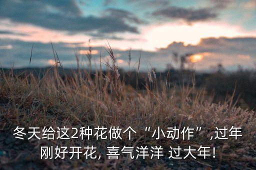 喜气洋洋过大年舞蹈,喜羊羊与灰太狼之喜气洋洋过大年