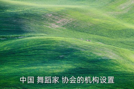 舞蹈协会成员,山西省舞蹈协会成员简历