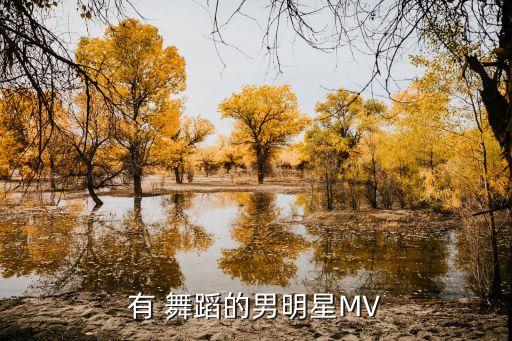 最美性感舞蹈视频下载