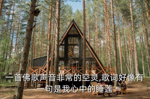 愿做菩萨那朵莲舞蹈
