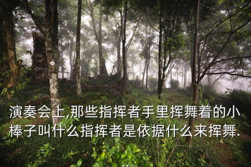 手拿棒舞蹈,手拿道具的舞蹈有哪些