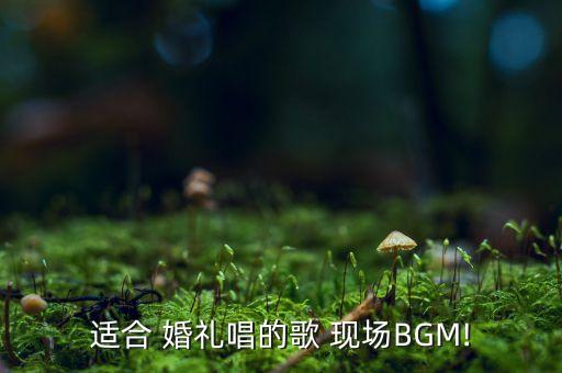 适合婚礼的舞蹈视频下载,迈克尔杰克逊高清舞蹈视频下载