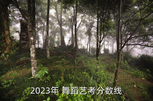 山西舞蹈艺考生统计,山西历年艺考生成绩舞蹈