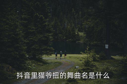 舞蹈妞啊扭是什么歌曲,扭胯的舞蹈是什么舞