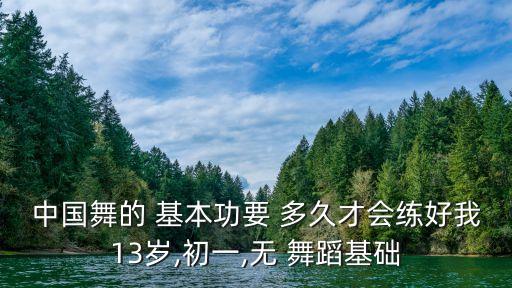 成人舞蹈基本功要学多久