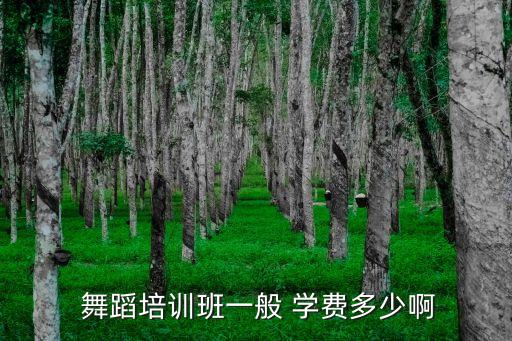 临沂的舞蹈学校学费,临沂最好的舞蹈学校在哪里