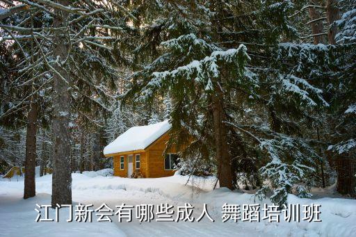 重庆轻舞飞扬舞蹈学校,南充轻舞飞扬舞蹈学校电话