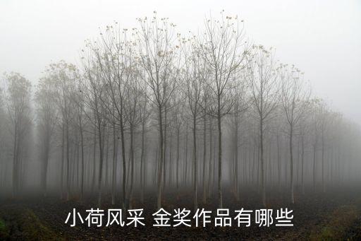 少儿金奖舞蹈视频央视,最新少儿舞蹈大赛金奖作品视频