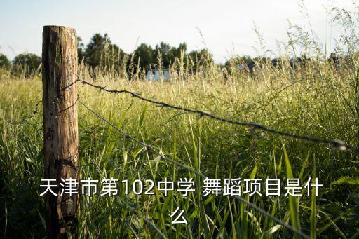 舞蹈 天津,舞蹈天津电视台录制一次多少钱
