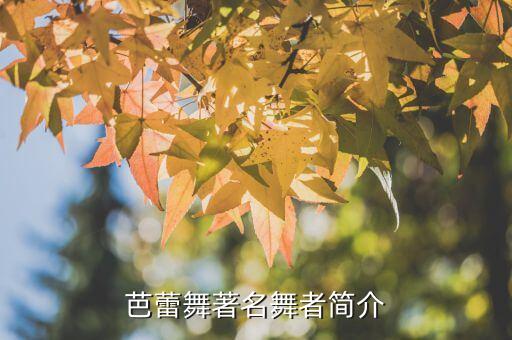 世界顶尖的舞蹈艺术家,荷兰舞蹈剧场离世界顶尖