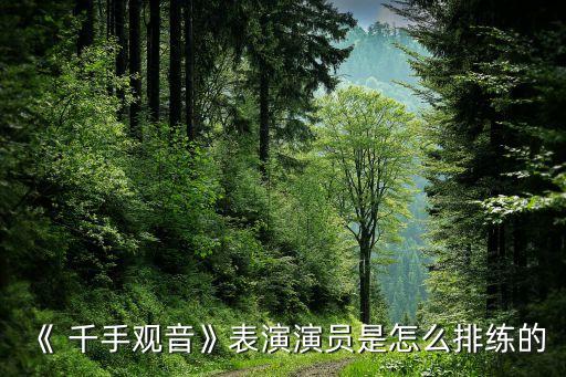 舞蹈千手观音背面完整版,2005千手观音舞蹈视频完整版