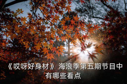 关于海浪的舞蹈群舞