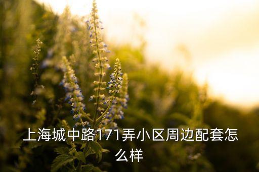 上海罗宾森舞蹈