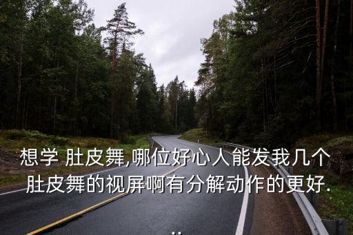 中舞网肚皮舞成品舞蹈,李晶晶肚皮舞成品舞视频大全