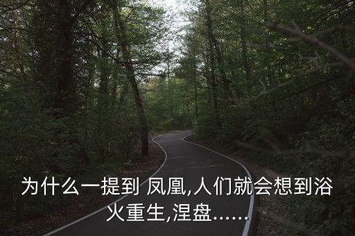 双人凤凰涅槃舞蹈,凤凰涅槃舞蹈视频三年级二班