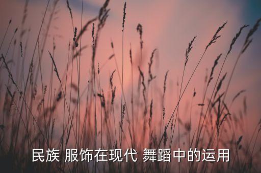 梦之舞服饰舞蹈上衣,舞格格舞蹈服饰