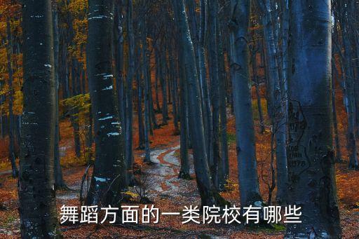 依恋舞蹈艺术学校,广州舞蹈艺术学校招生简章