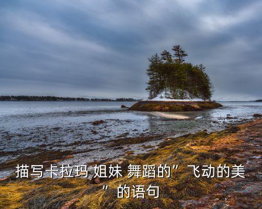 姐妹跳舞蹈,姐妹舞蹈考级二级