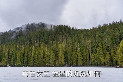 金星舞蹈团演员待遇,上海金星舞蹈团有哪些知名演员