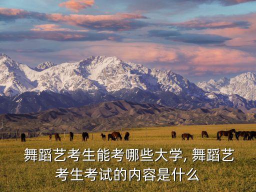 重艺国标舞蹈,国标集体舞蹈视频大全