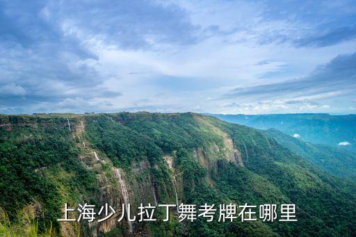 圣安琴舞蹈机构,福州圣安琴舞蹈怎么样