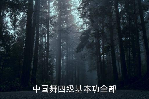 舞蹈五级考级结束动作,五级考级舞蹈孔子曰视频