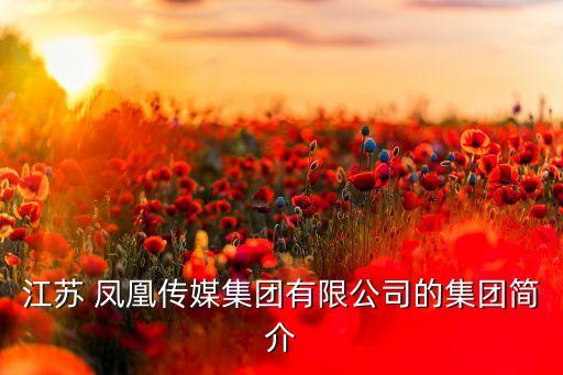 凤凰国际舞蹈培训,yasakl国际舞蹈培训
