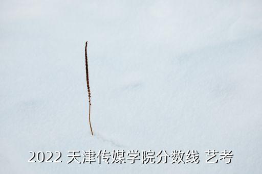 天津艺考舞蹈,天津舞蹈艺考培训机构排名