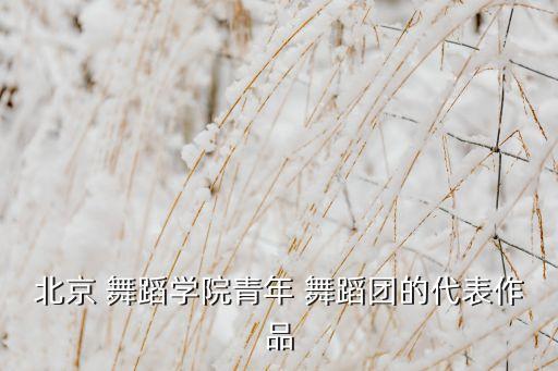 秦王点兵是先秦舞蹈吗,舞蹈秦王点兵属于什么舞蹈类型