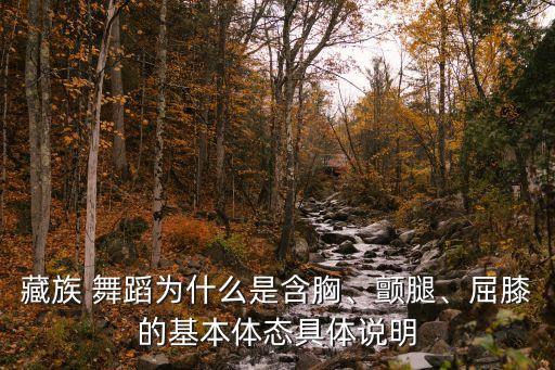 爱做的高原舞蹈,高原情歌舞蹈背面视频