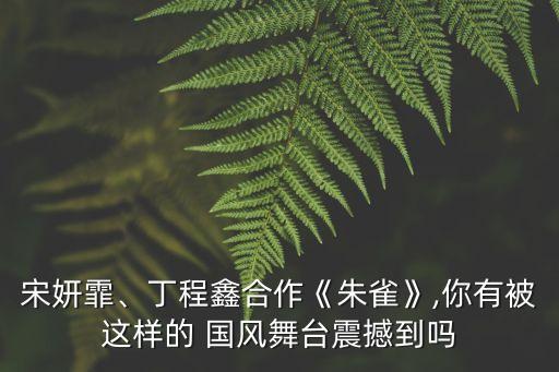国风小舞蹈,国风舞蹈发轫于视频平台,早期的表演者