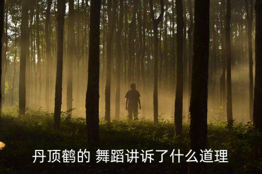 仙鹤与女孩舞蹈,仙鹤姑娘舞蹈视频五级