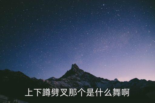 对俪人行舞蹈的评价,舞蹈俪人行完整版