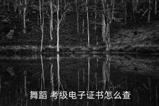 北京舞蹈考级视频大全软件,北舞舞蹈考级三级所有曲目