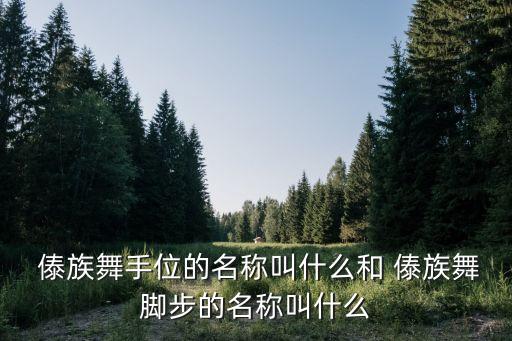 傣族女子舞蹈组合,舞蹈《傣家小妹走过来》傣族组合