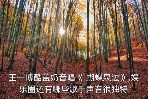 舞蹈蝴蝶泉边一等奖,傣族舞蹈蝴蝶泉边教学完整版