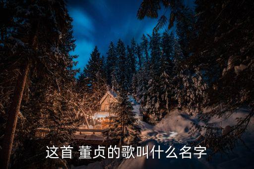 相思引 董贞舞蹈,董贞相思引 百度百科