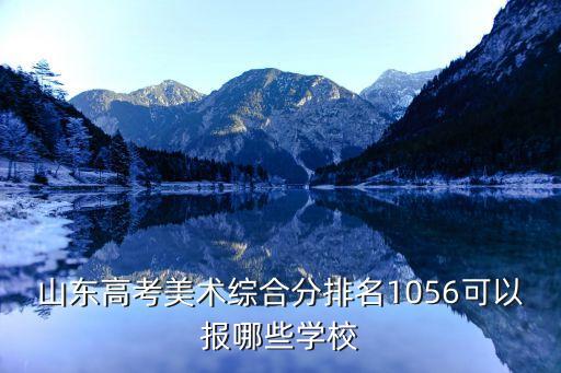 山东省舞蹈大赛