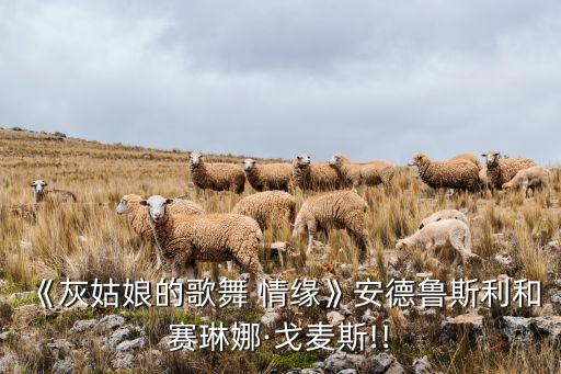 什么情缘舞蹈视频,最美的情缘舞蹈视频完整版