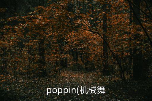 t舞团舞蹈视频