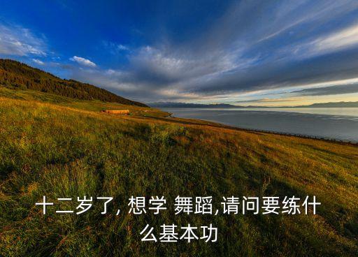 12岁想学舞蹈教学视频