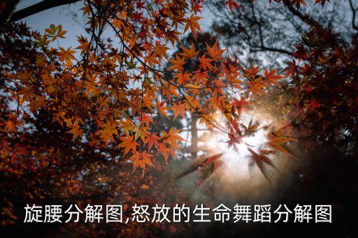 舞蹈旋腰分解图,怒放的生命舞蹈分解图