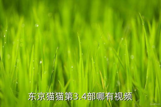 猫猫舞蹈社在哪,彩虹朋友猫猫舞蹈视频