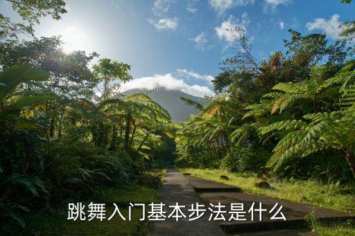 舞蹈步的技巧视频,kizomba舞蹈基本步技巧
