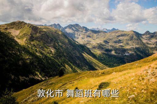 舞蹈培训中心业务范围,灰姑娘舞蹈培训中心价目表